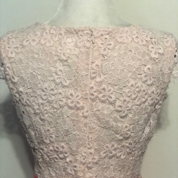 COPY - Julia Jordan Pale Pink / Coral Lace Dress - Picture 8 of 9